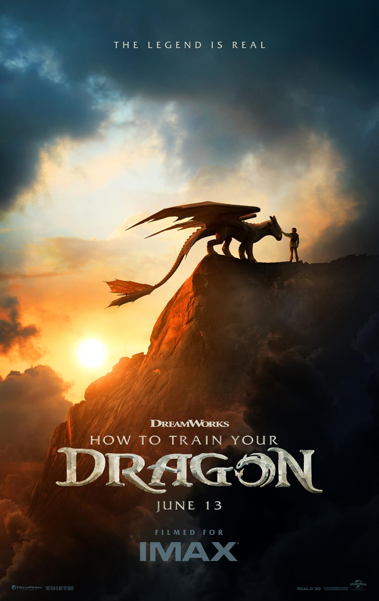 How to Train Your Dragon image